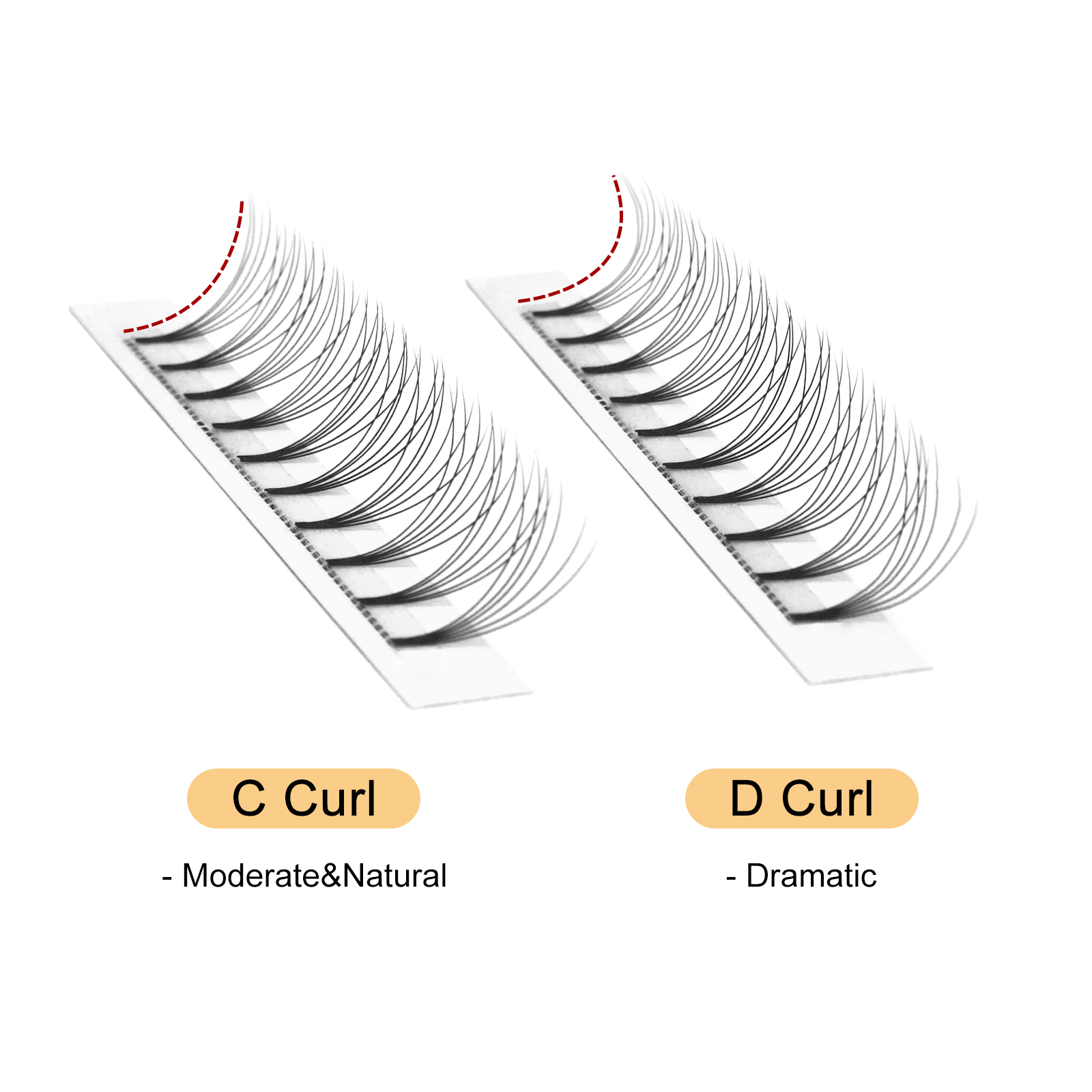 Quewel Premade แฟนขนตา 8D/6D/5 - Lash Fan Volume บทวิจารณ์และราคา