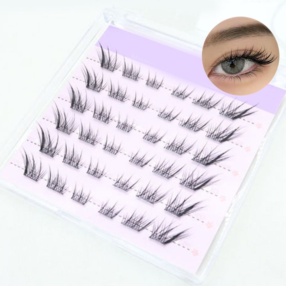 ขนตาปลอมแบบ 3 มิติ ลายแคทอาย ต - Eyelash Extension Fox Eye บทวิจารณ์และราคา